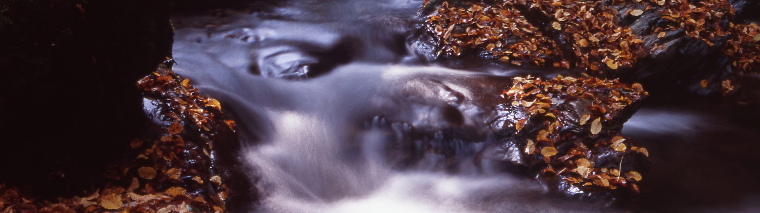 Torrent de Saint-Ruph en automne – classes d'actifs gestion de patrimoine